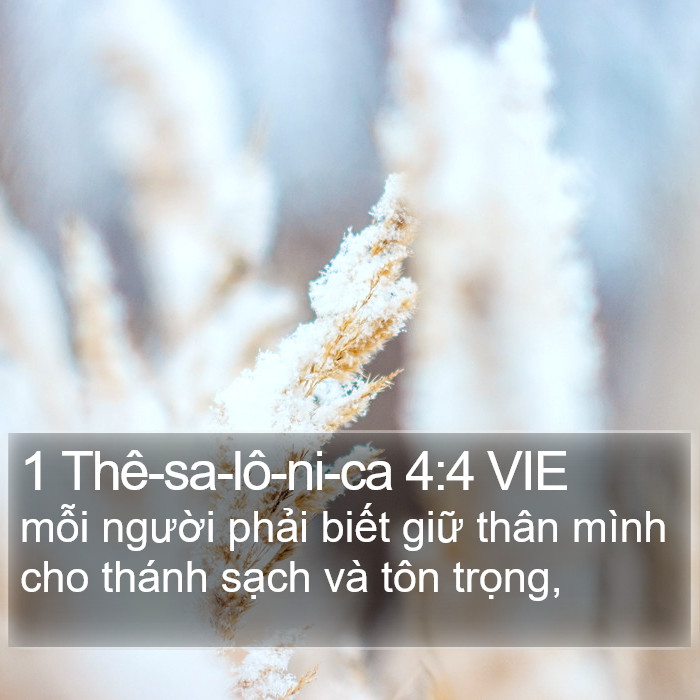 1 Thê-sa-lô-ni-ca 4:4 VIE Bible Study