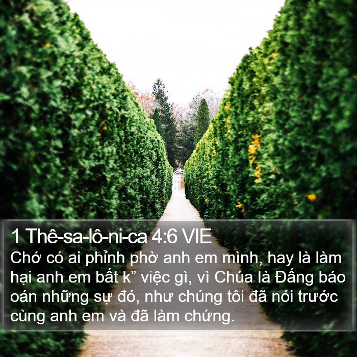 1 Thê-sa-lô-ni-ca 4:6 VIE Bible Study