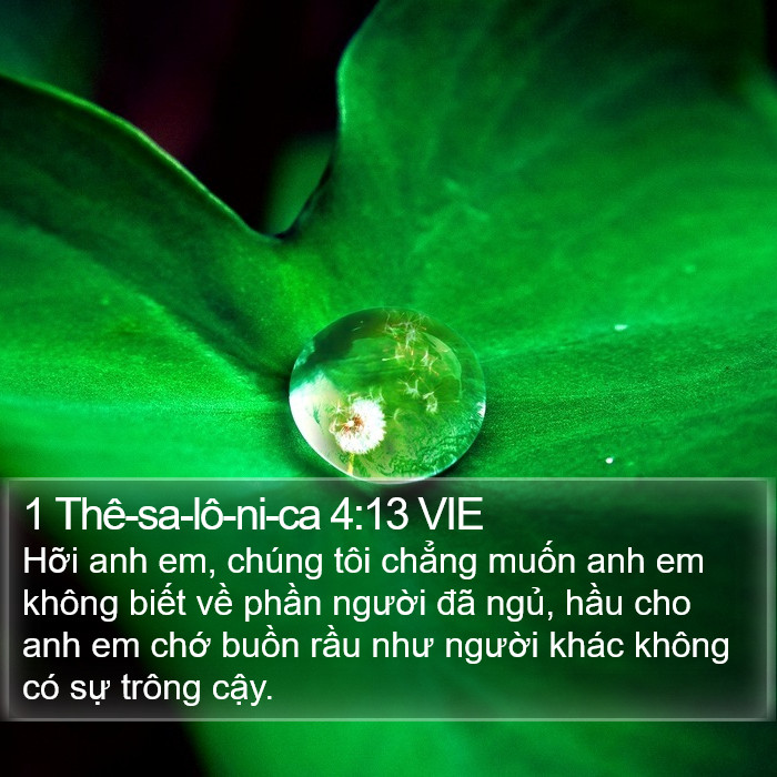 1 Thê-sa-lô-ni-ca 4:13 VIE Bible Study