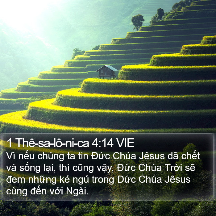 1 Thê-sa-lô-ni-ca 4:14 VIE Bible Study