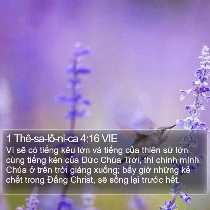 1 Thê-sa-lô-ni-ca 4:16 VIE Bible Study