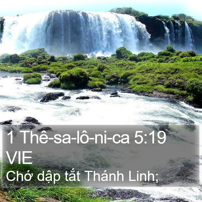 1 Thê-sa-lô-ni-ca 5:19 VIE Bible Study