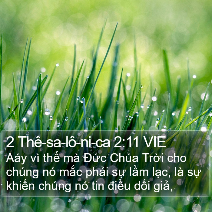 2 Thê-sa-lô-ni-ca 2:11 VIE Bible Study