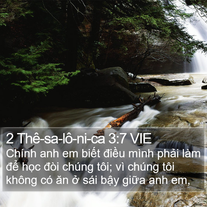 2 Thê-sa-lô-ni-ca 3:7 VIE Bible Study