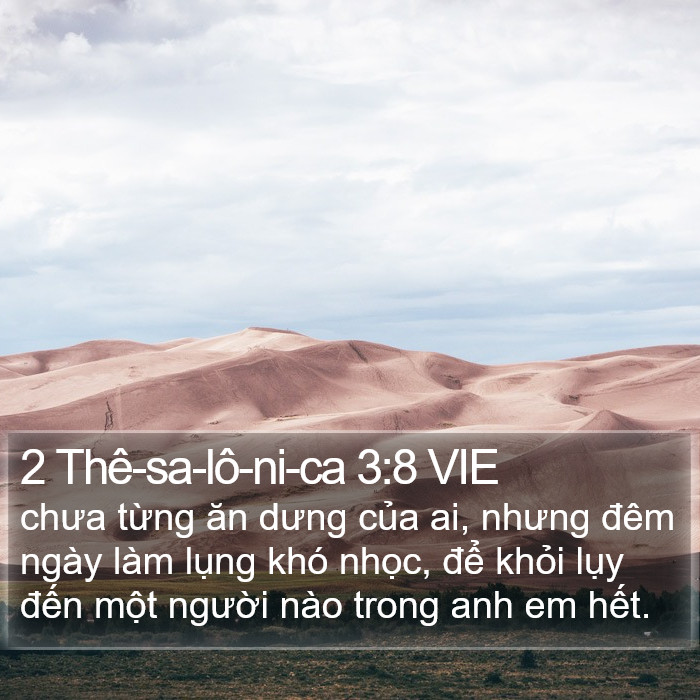 2 Thê-sa-lô-ni-ca 3:8 VIE Bible Study