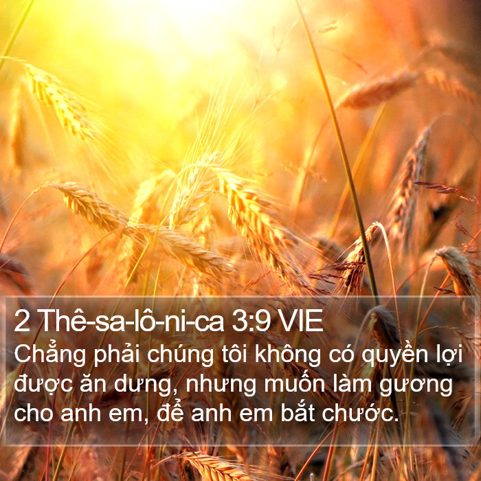 2 Thê-sa-lô-ni-ca 3:9 VIE Bible Study