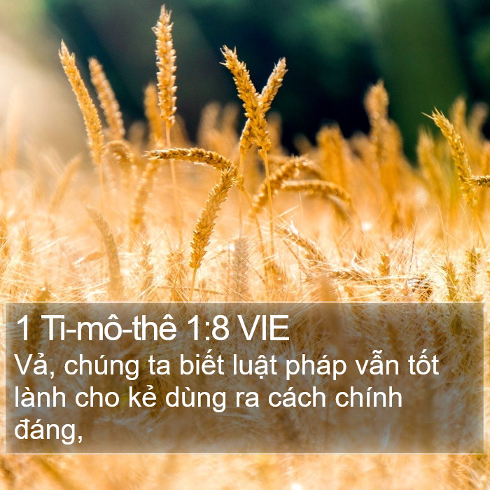 1 Ti-mô-thê 1:8 VIE Bible Study