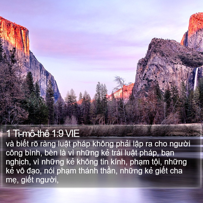 1 Ti-mô-thê 1:9 VIE Bible Study