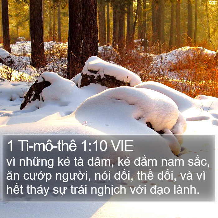 1 Ti-mô-thê 1:10 VIE Bible Study