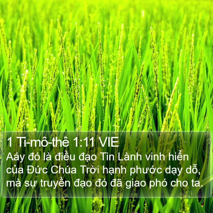 1 Ti-mô-thê 1:11 VIE Bible Study