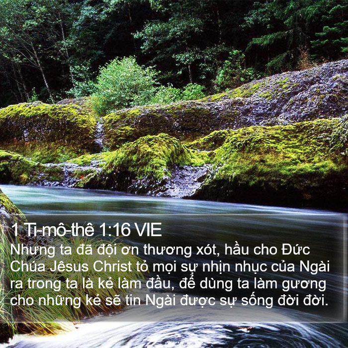 1 Ti-mô-thê 1:16 VIE Bible Study