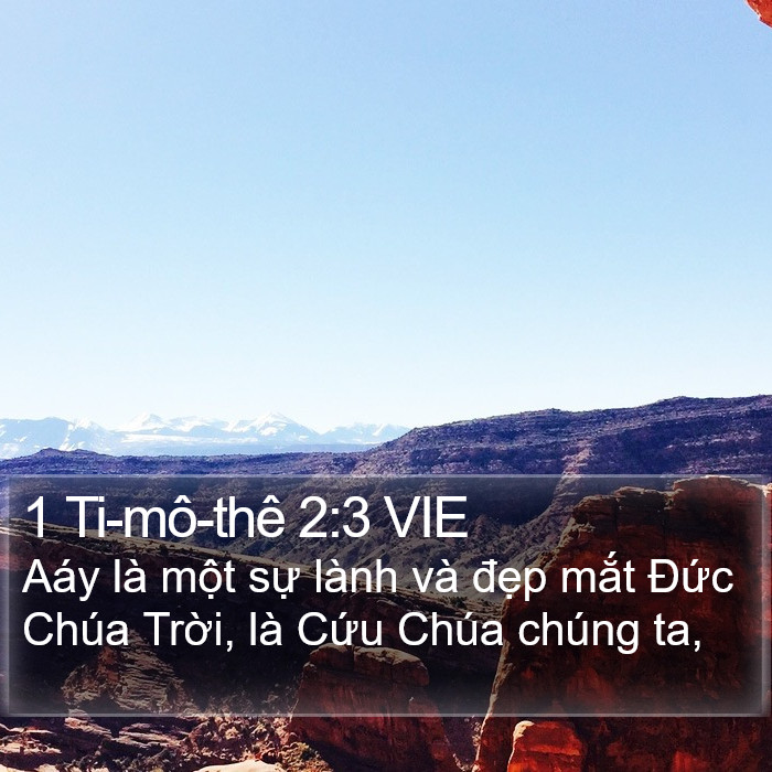 1 Ti-mô-thê 2:3 VIE Bible Study