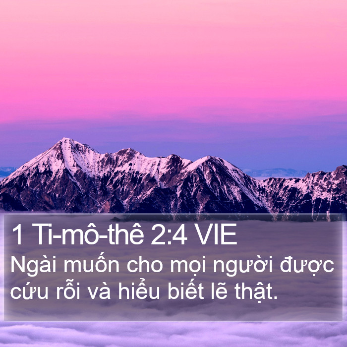 1 Ti-mô-thê 2:4 VIE Bible Study