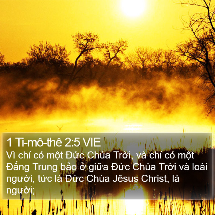 1 Ti-mô-thê 2:5 VIE Bible Study