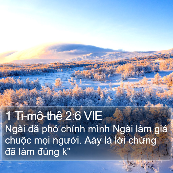 1 Ti-mô-thê 2:6 VIE Bible Study