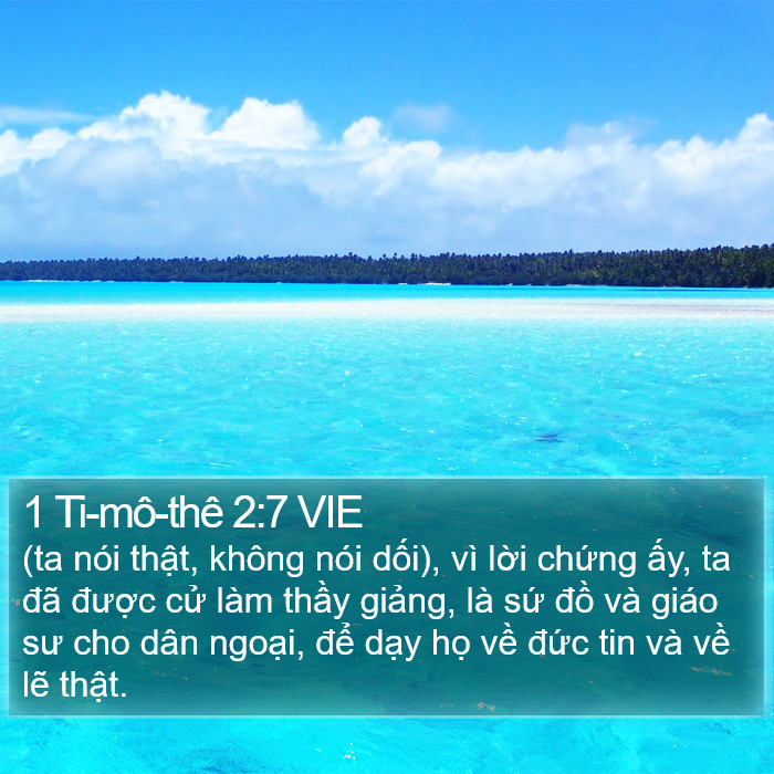 1 Ti-mô-thê 2:7 VIE Bible Study