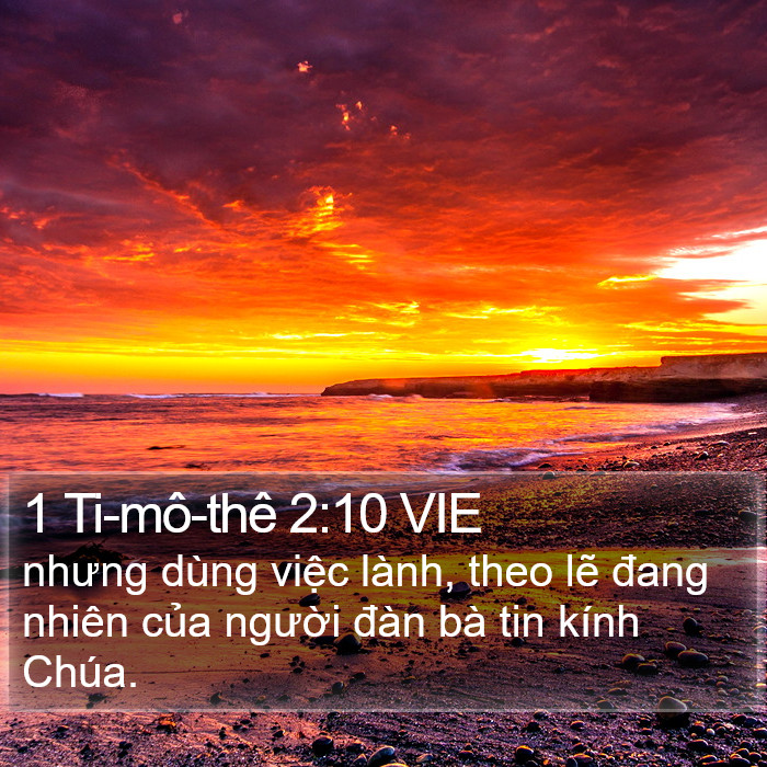 1 Ti-mô-thê 2:10 VIE Bible Study