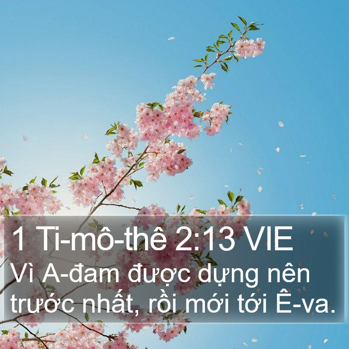 1 Ti-mô-thê 2:13 VIE Bible Study