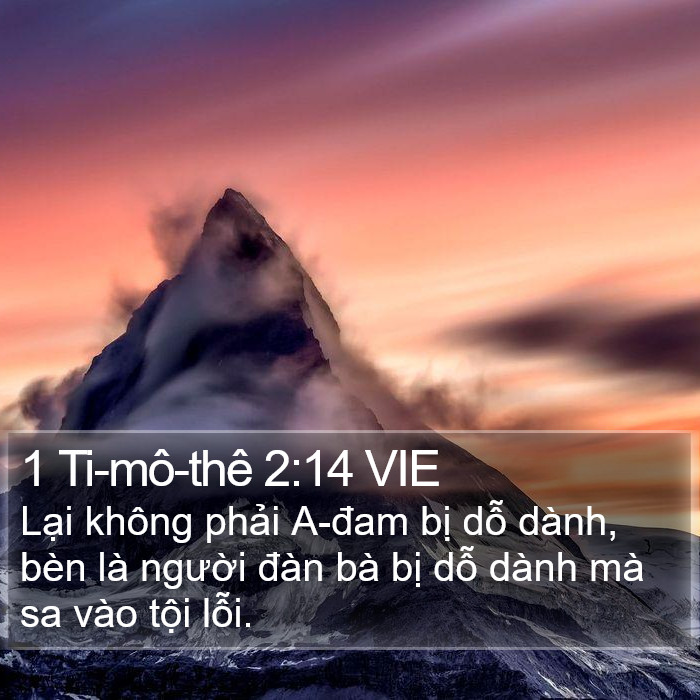 1 Ti-mô-thê 2:14 VIE Bible Study