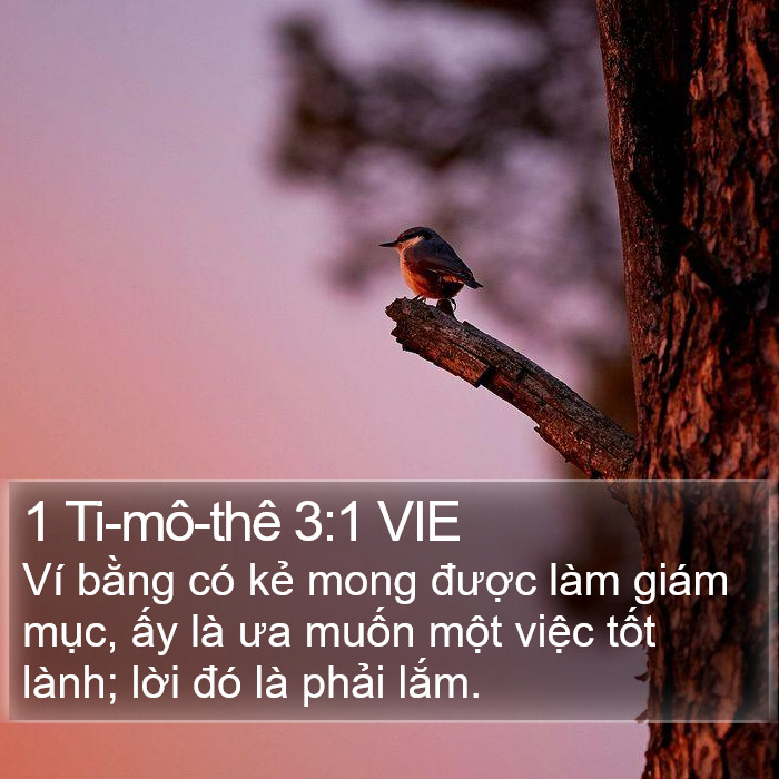 1 Ti-mô-thê 3:1 VIE Bible Study