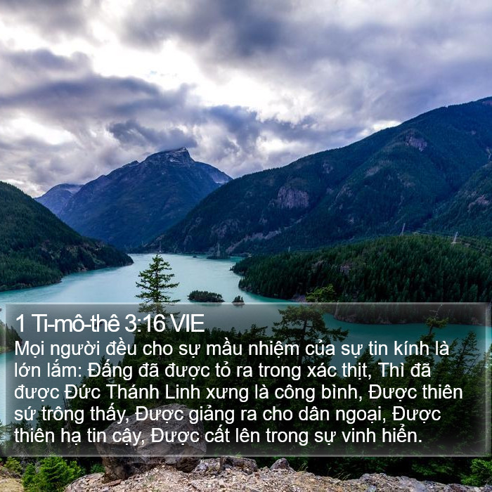 1 Ti-mô-thê 3:16 VIE Bible Study