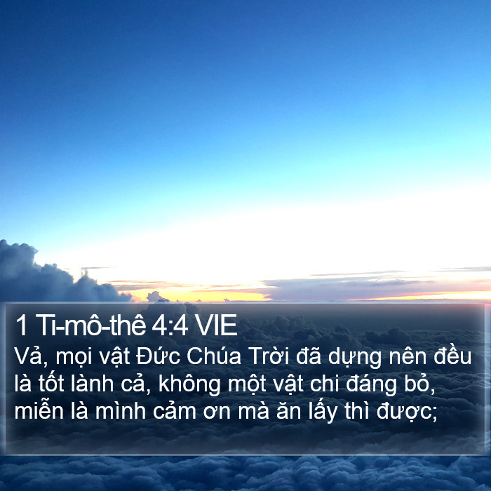 1 Ti-mô-thê 4:4 VIE Bible Study