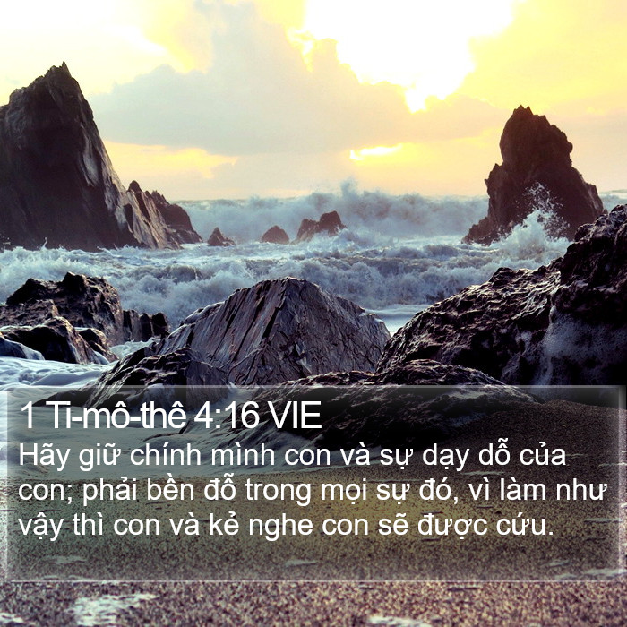 1 Ti-mô-thê 4:16 VIE Bible Study