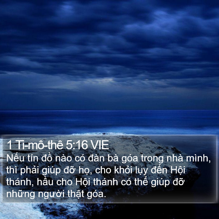 1 Ti-mô-thê 5:16 VIE Bible Study