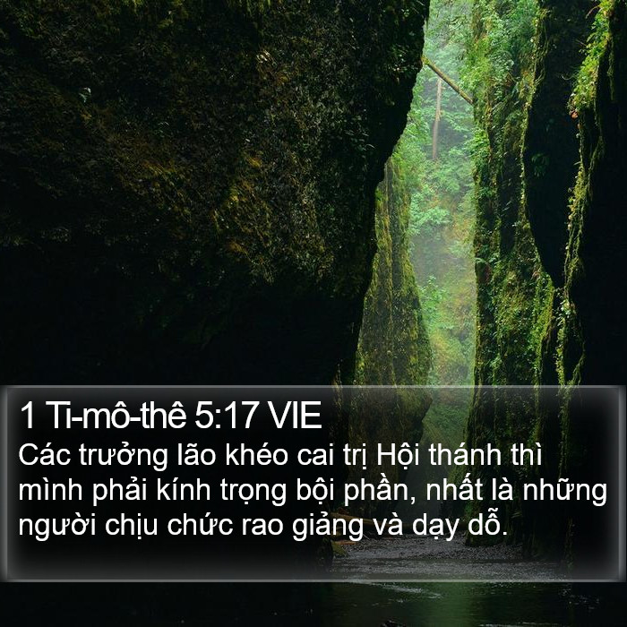 1 Ti-mô-thê 5:17 VIE Bible Study