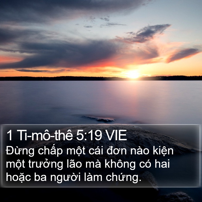 1 Ti-mô-thê 5:19 VIE Bible Study