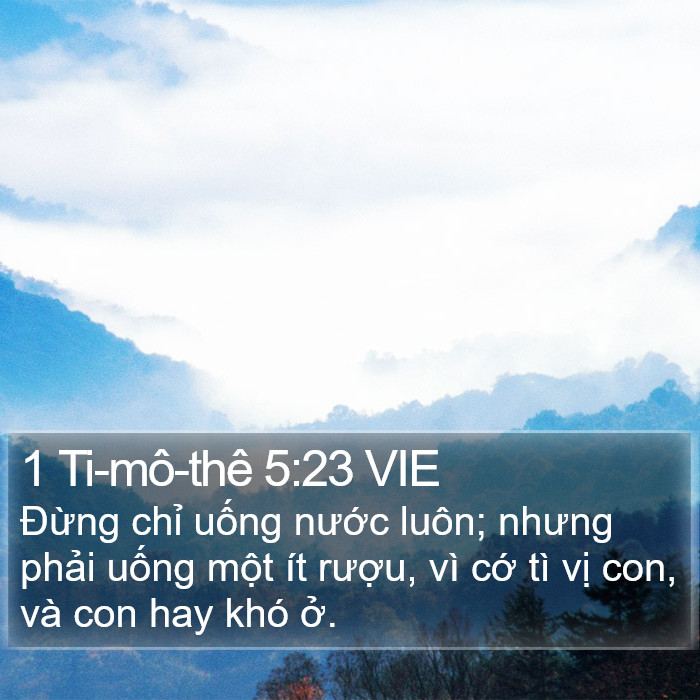 1 Ti-mô-thê 5:23 VIE Bible Study