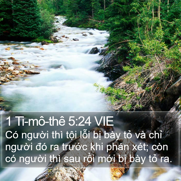 1 Ti-mô-thê 5:24 VIE Bible Study