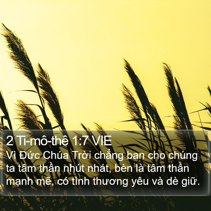 2 Ti-mô-thê 1:7 VIE Bible Study