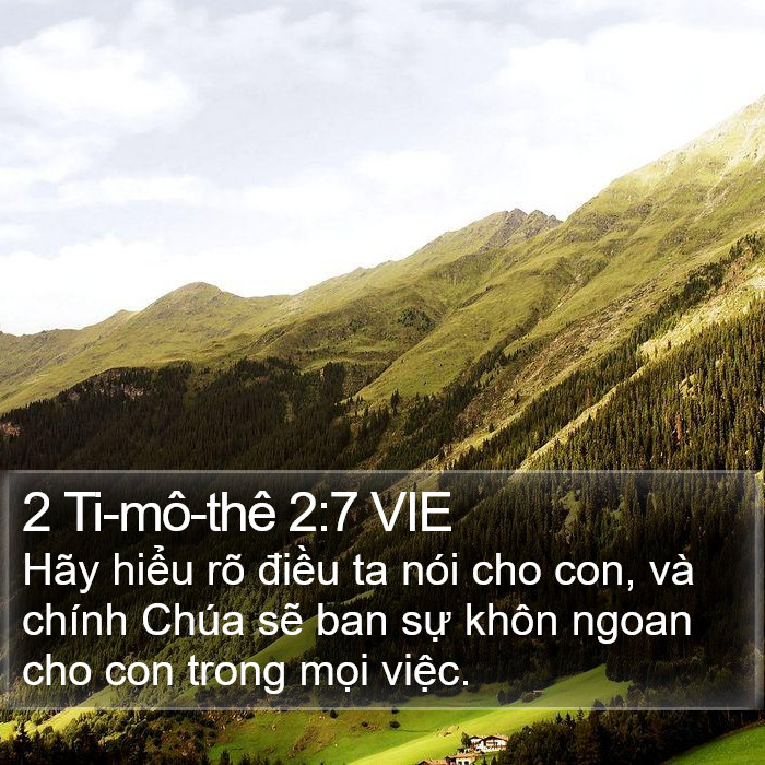 2 Ti-mô-thê 2:7 VIE Bible Study