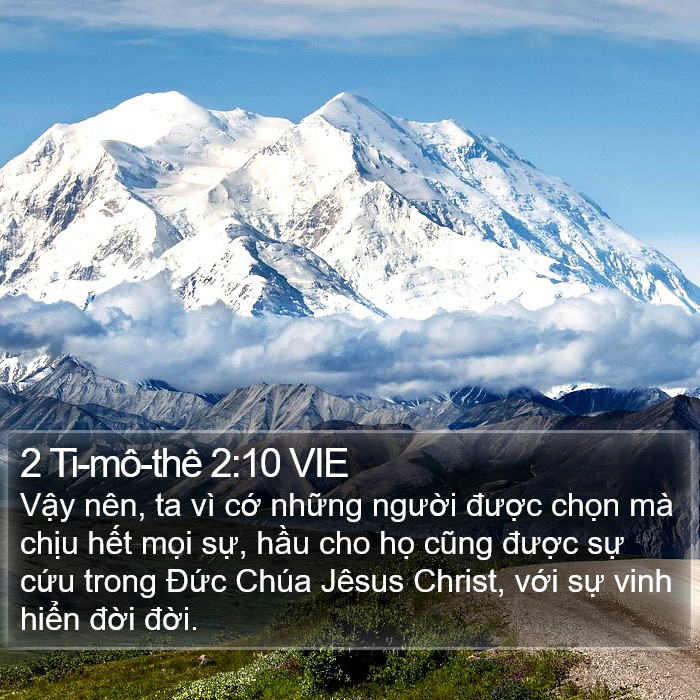 2 Ti-mô-thê 2:10 VIE Bible Study