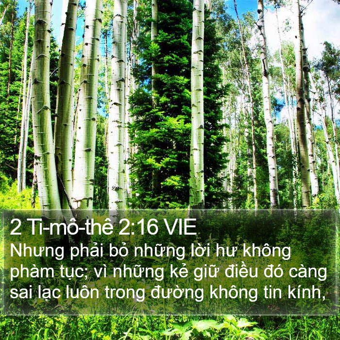 2 Ti-mô-thê 2:16 VIE Bible Study