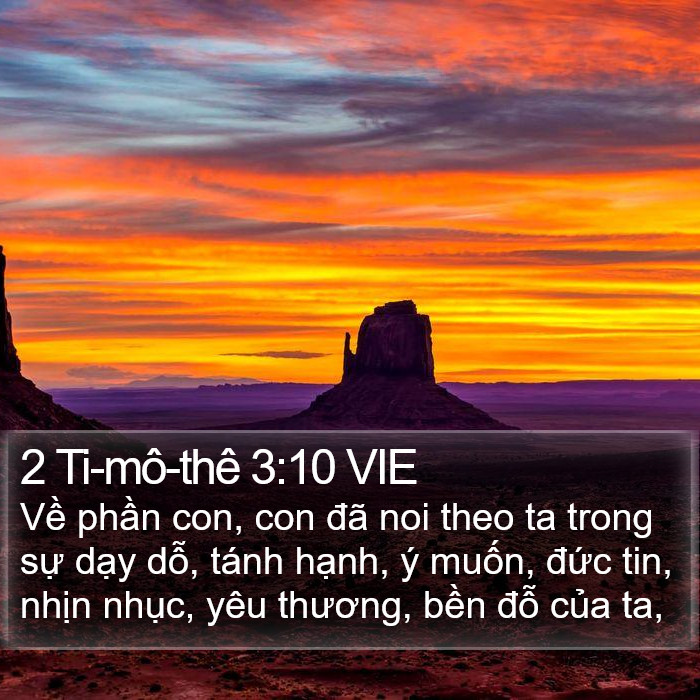 2 Ti-mô-thê 3:10 VIE Bible Study