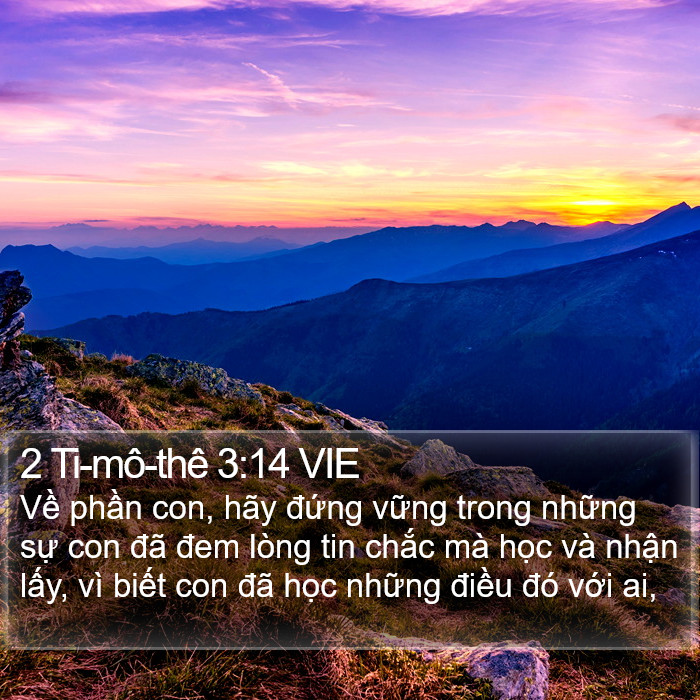 2 Ti-mô-thê 3:14 VIE Bible Study