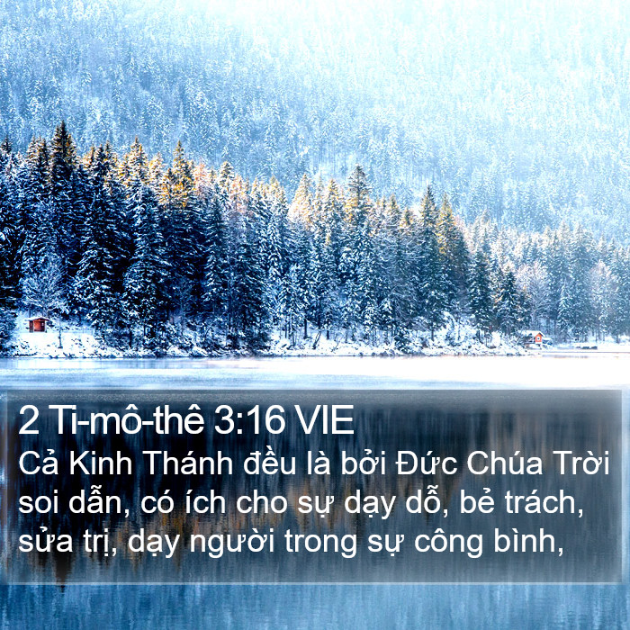 2 Ti-mô-thê 3:16 VIE Bible Study