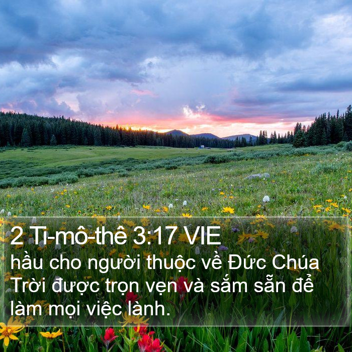 2 Ti-mô-thê 3:17 VIE Bible Study