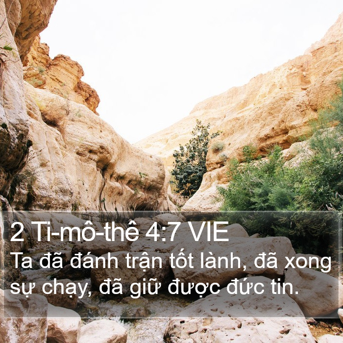 2 Ti-mô-thê 4:7 VIE Bible Study