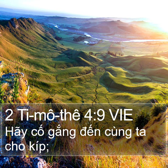 2 Ti-mô-thê 4:9 VIE Bible Study