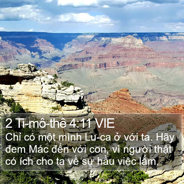 2 Ti-mô-thê 4:11 VIE Bible Study