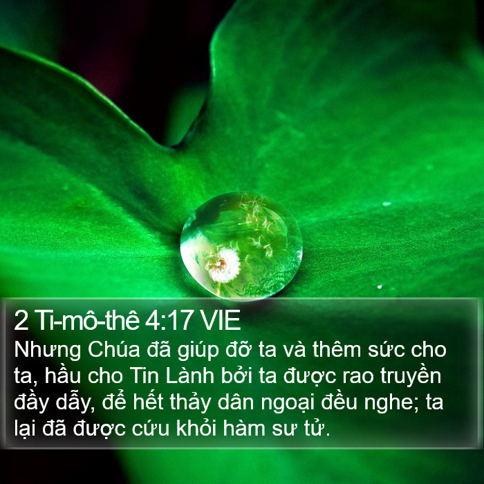 2 Ti-mô-thê 4:17 VIE Bible Study