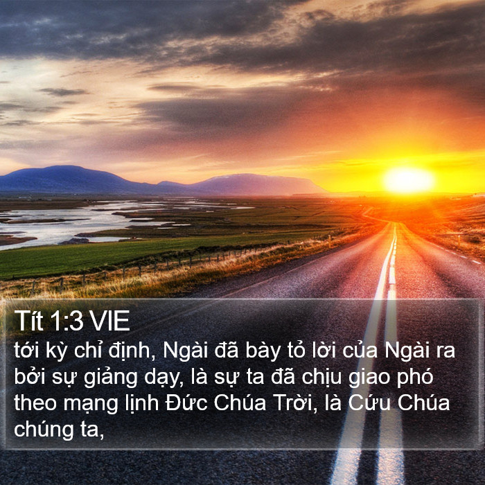 Tít 1:3 VIE Bible Study