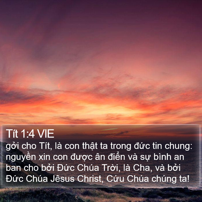 Tít 1:4 VIE Bible Study