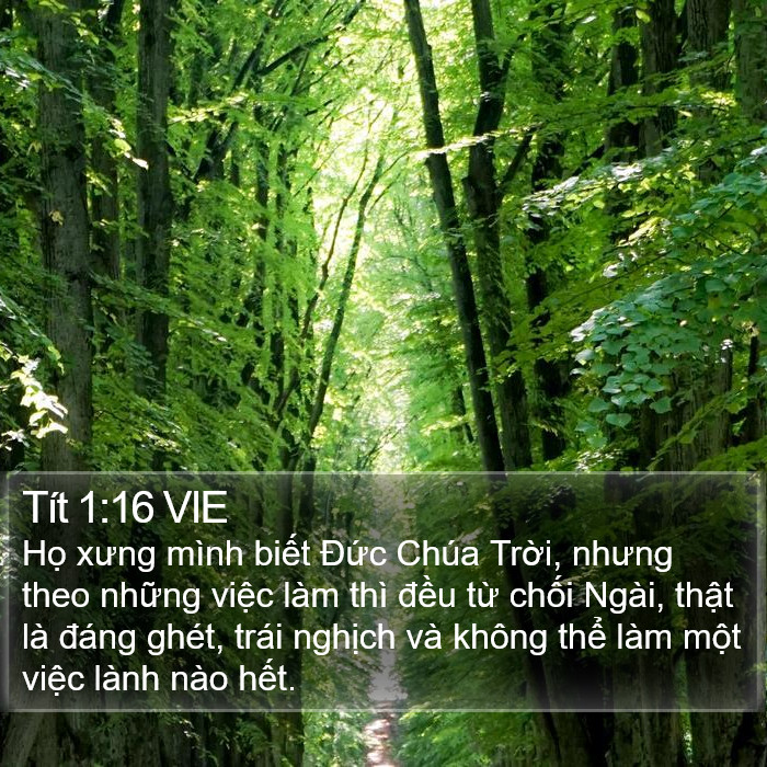 Tít 1:16 VIE Bible Study