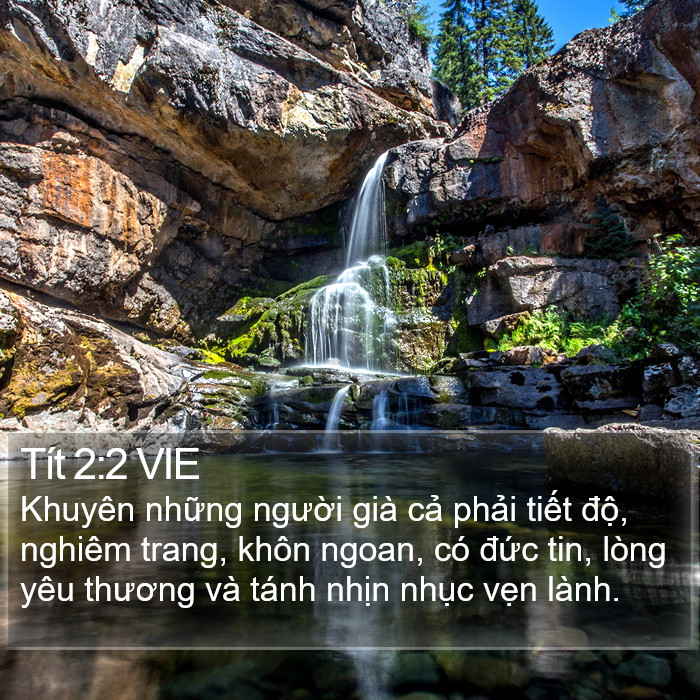 Tít 2:2 VIE Bible Study