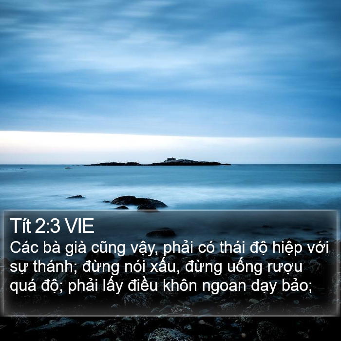 Tít 2:3 VIE Bible Study