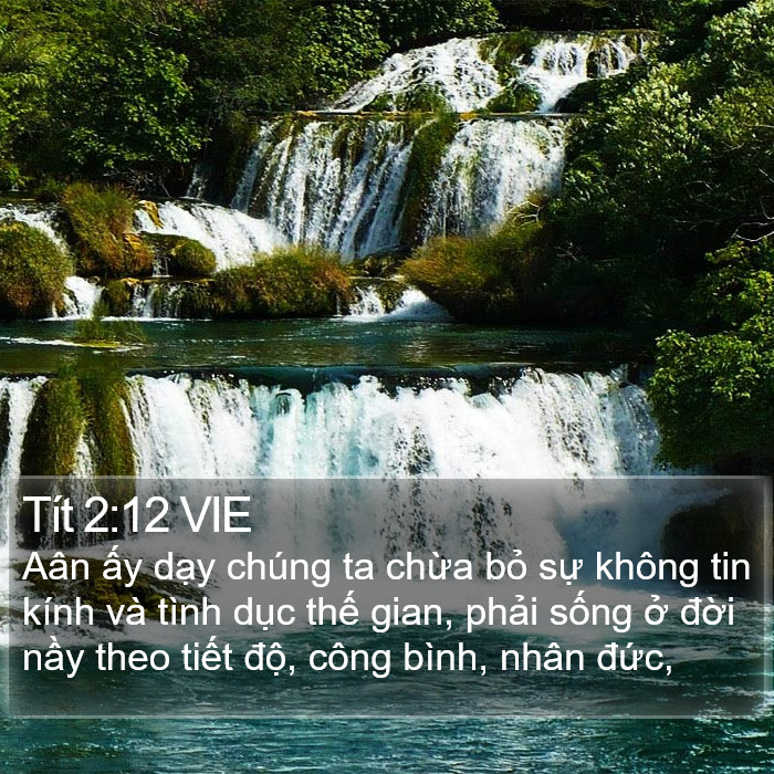 Tít 2:12 VIE Bible Study